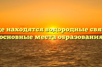 Где находятся водородные связи основные места образования