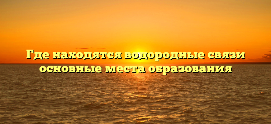 Где находятся водородные связи основные места образования