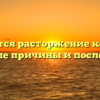 Допускается расторжение контракта: основные причины и последствия