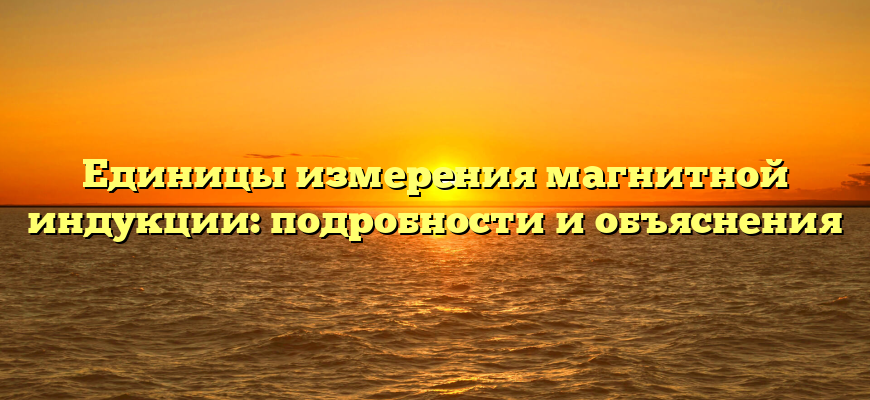 Единицы измерения магнитной индукции: подробности и объяснения