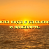 Зачем нужна вода в кальяне: отличия и важность