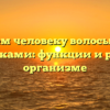 Зачем человеку волосы под мышками: функции и роль в организме