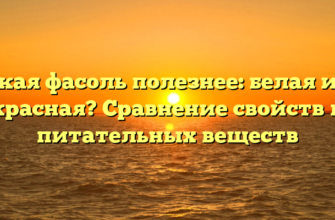 Какая фасоль полезнее: белая или красная? Сравнение свойств и питательных веществ