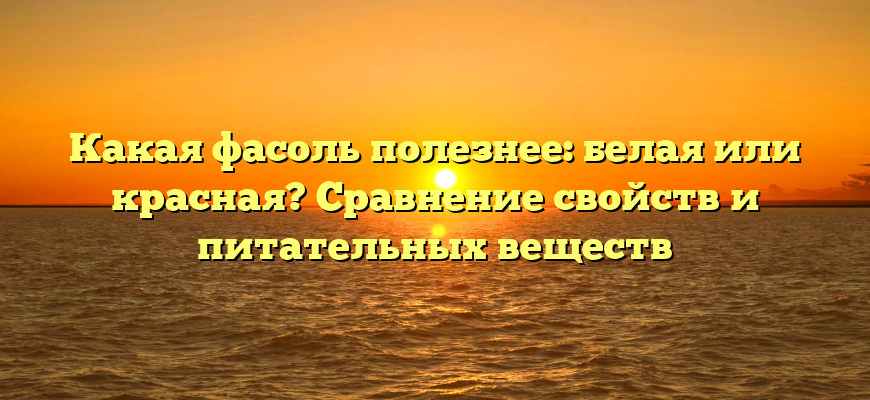 Какая фасоль полезнее: белая или красная? Сравнение свойств и питательных веществ