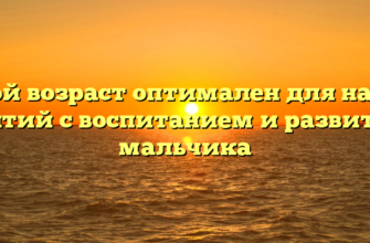 Какой возраст оптимален для начала занятий с воспитанием и развитием мальчика