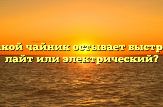 Какой чайник остывает быстрее: лайт или электрический?