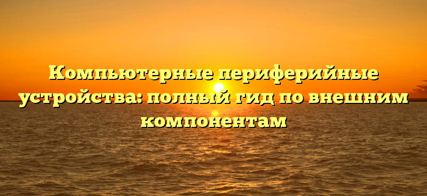 Компьютерные периферийные устройства: полный гид по внешним компонентам