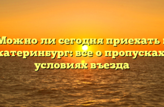 Можно ли сегодня приехать в Екатеринбург: все о пропусках и условиях въезда