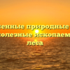 Ограниченные природные ресурсы России: полезные ископаемые, вода, леса