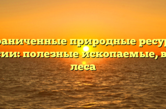 Ограниченные природные ресурсы России: полезные ископаемые, вода, леса