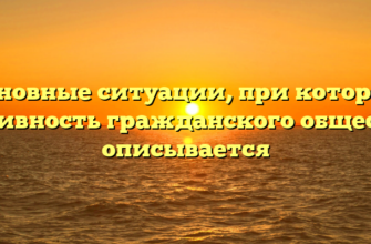 Основные ситуации, при которых активность гражданского общества описывается