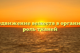 Передвижение веществ в организме: роль тканей