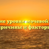 Повышение уровня мочевой кислоты: причины и факторы