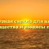 Полезная свекла для котов: преимущества и нюансы питания