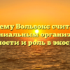 Почему Вольвокс считают колониальным организмом: особенности и роль в экосистеме