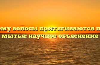 Почему волосы притягиваются после мытья: научное объяснение