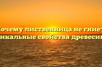 Почему лиственница не гниет: уникальные свойства древесины