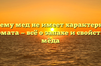 Почему мед не имеет характерного аромата — всё о запахе и свойствах мёда