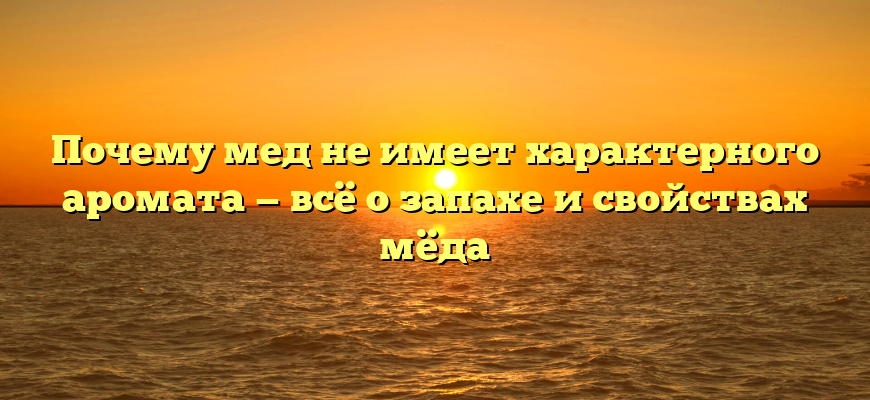 Почему мед не имеет характерного аромата — всё о запахе и свойствах мёда