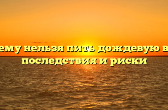 Почему нельзя пить дождевую воду: последствия и риски