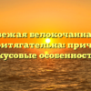 Почему свежая белокочанная капуста так притягательна: причины и вкусовые особенности