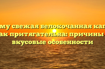 Почему свежая белокочанная капуста так притягательна: причины и вкусовые особенности