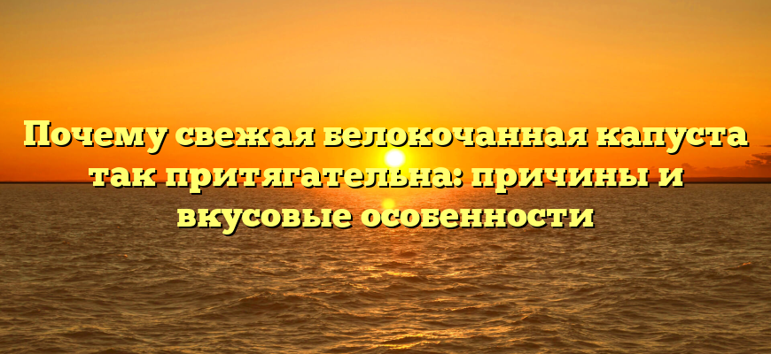 Почему свежая белокочанная капуста так притягательна: причины и вкусовые особенности