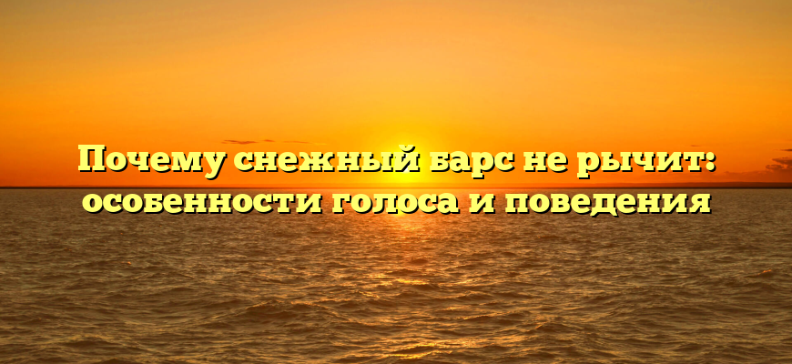 Почему снежный барс не рычит: особенности голоса и поведения