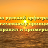 Правила русской орфографии по морфологическому принципу: обзор правил и примеры