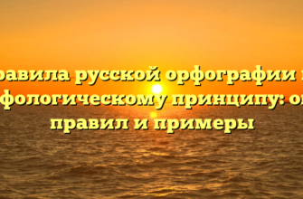 Правила русской орфографии по морфологическому принципу: обзор правил и примеры