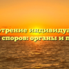 Рассмотрение индивидуальных трудовых споров: органы и процедура