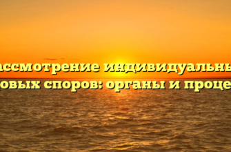 Рассмотрение индивидуальных трудовых споров: органы и процедура