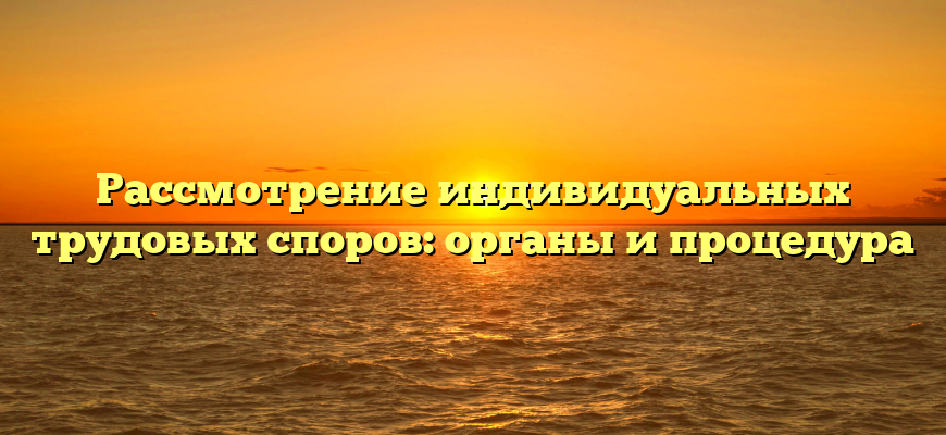 Рассмотрение индивидуальных трудовых споров: органы и процедура