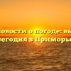 Свежие новости о погоде: выпал снег сегодня в Приморье