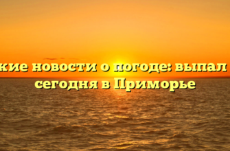 Свежие новости о погоде: выпал снег сегодня в Приморье