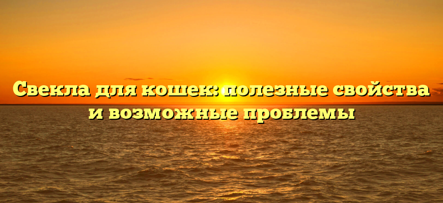 Свекла для кошек: полезные свойства и возможные проблемы