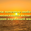 Свекла: полезные свойства и противопоказания включения в рацион кормящей мамы