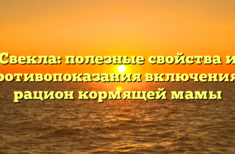 Свекла: полезные свойства и противопоказания включения в рацион кормящей мамы