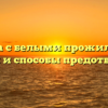 Свекла с белыми прожилками: причины и способы предотвращения