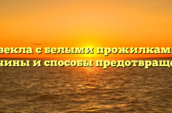 Свекла с белыми прожилками: причины и способы предотвращения