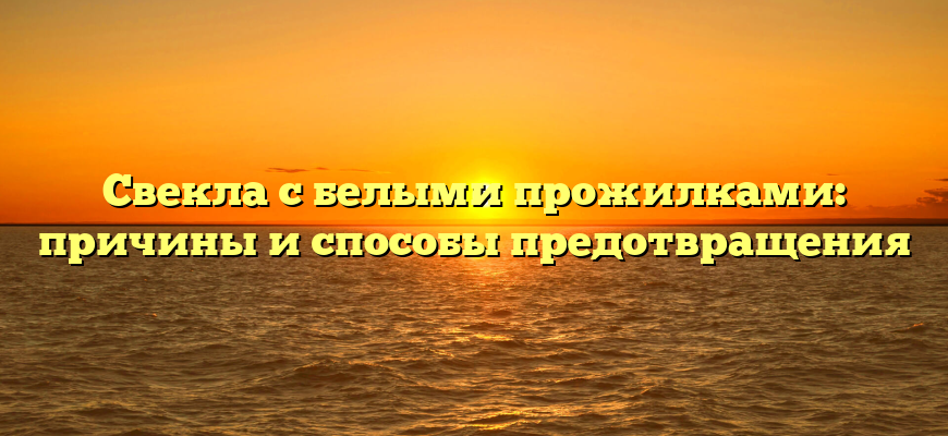 Свекла с белыми прожилками: причины и способы предотвращения