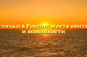 Светлячки в России: места обитания и особенности