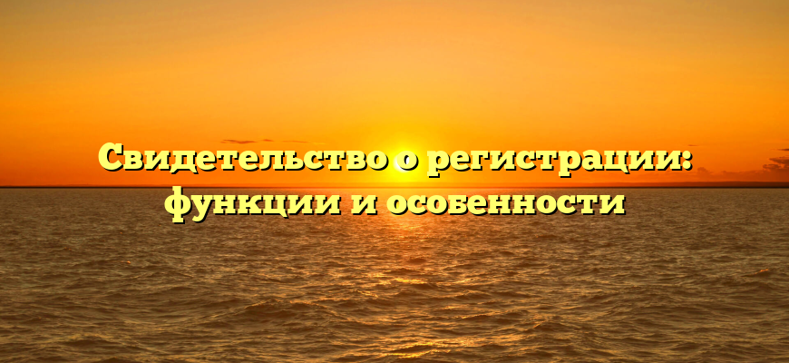 Свидетельство о регистрации: функции и особенности