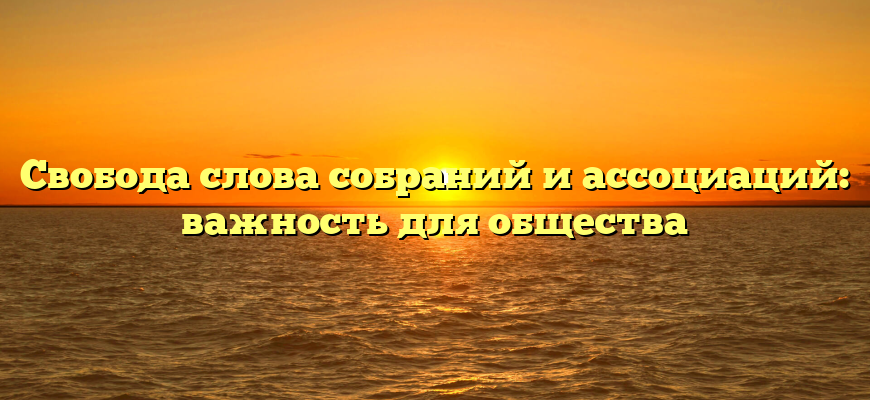 Свобода слова собраний и ассоциаций: важность для общества