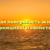 Свободная поверхность жидкости: принципы и свойства