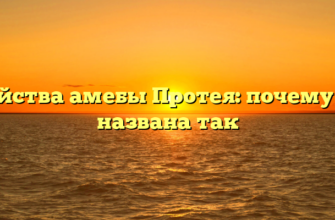 Свойства амебы Протея: почему она названа так