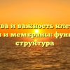 Свойства и важность клеточной стенки и мембраны: функции и структура