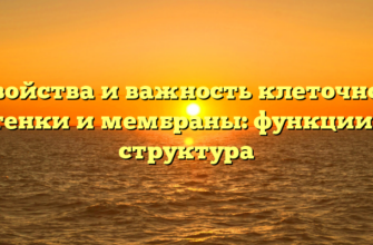 Свойства и важность клеточной стенки и мембраны: функции и структура