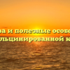 Свойства и полезные особенности декальцинированной кости