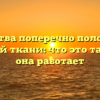 Свойства поперечно полосатой мышечной ткани: что это такое и как она работает